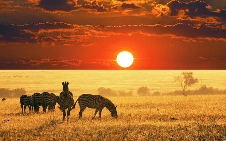 Foto von Zentralafrikanische Republik