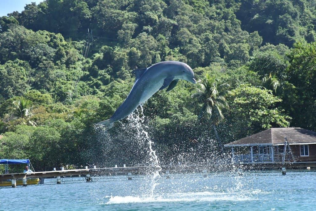 Photo de Honduras