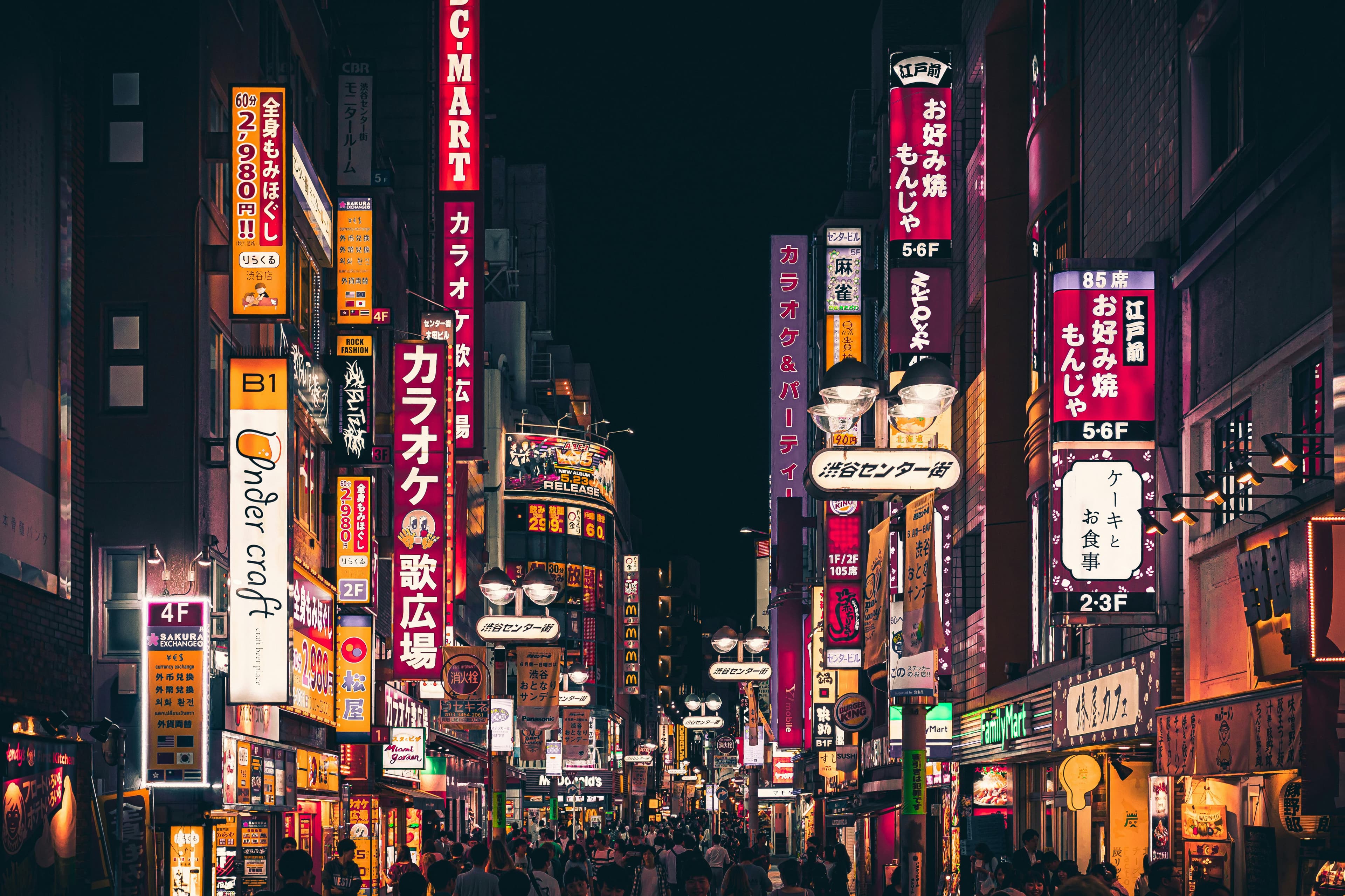 Japan landscape
