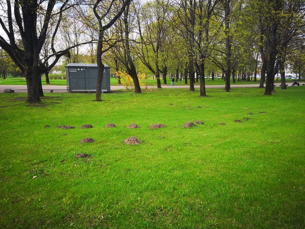 Latvia landscape