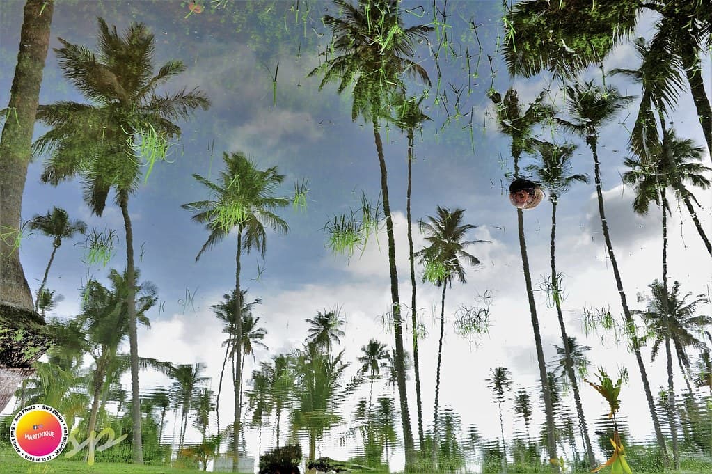 Martinique landscape
