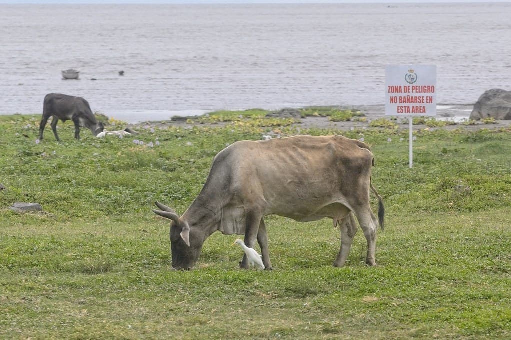 Photo of Nicaragua